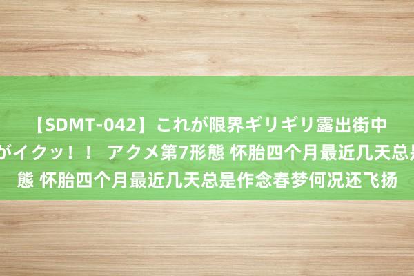 【SDMT-042】これが限界ギリギリ露出街中潮吹き アクメ自転車がイクッ!! アクメ第7形態 怀胎四个月最近几天总是作念春梦何况还飞扬