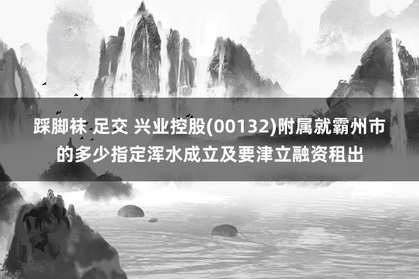 踩脚袜 足交 兴业控股(00132)附属就霸州市的多少指定浑水成立及要津立融资租出