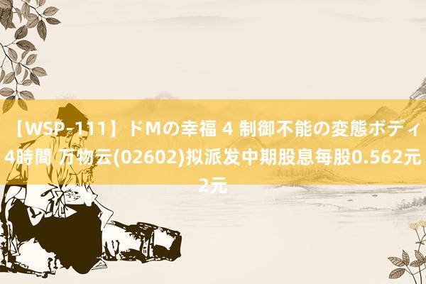 【WSP-111】ドMの幸福 4 制御不能の変態ボディ4時間 万物云(02602)拟派发中期股息每股0.562元