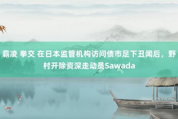 霸凌 拳交 在日本监管机构访问债市足下丑闻后，野村开除资深走动员Sawada
