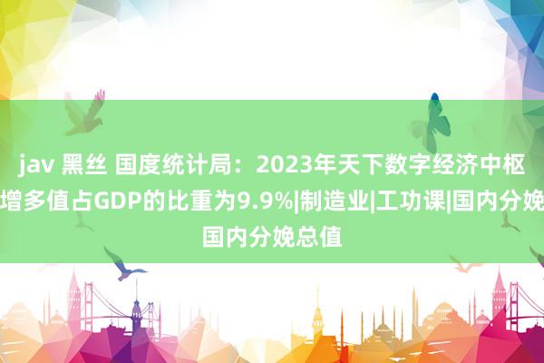 jav 黑丝 国度统计局：2023年天下数字经济中枢产业增多值占GDP的比重为9.9%|制造业|工功课|国内分娩总值