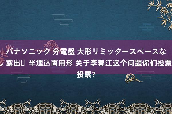 パナソニック 分電盤 大形リミッタースペースなし 露出・半埋込両用形 关于李春江这个问题你们投票？
