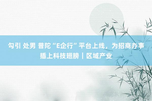 勾引 处男 普陀“E企行”平台上线，为招商办事插上科技翅膀｜区域产业