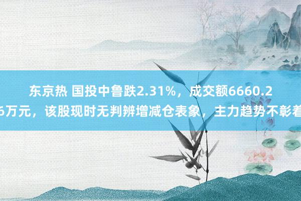 东京热 国投中鲁跌2.31%，成交额6660.26万元，该股现时无判辨增减仓表象，主力趋势不彰着