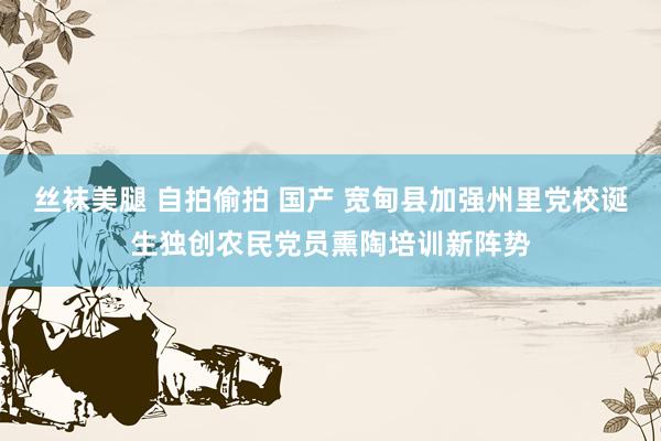 丝袜美腿 自拍偷拍 国产 宽甸县加强州里党校诞生独创农民党员熏陶培训新阵势