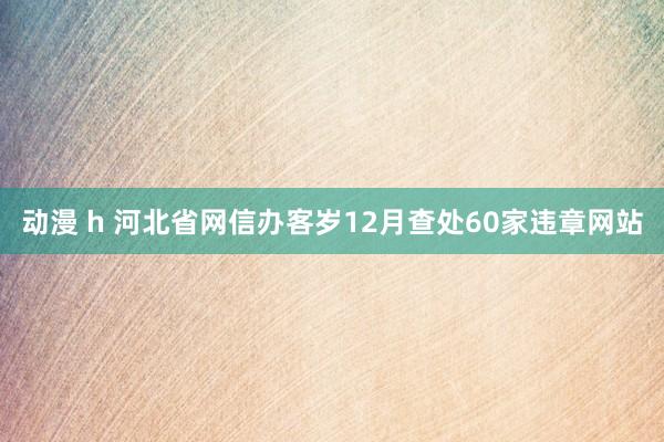 动漫 h 河北省网信办客岁12月查处60家违章网站