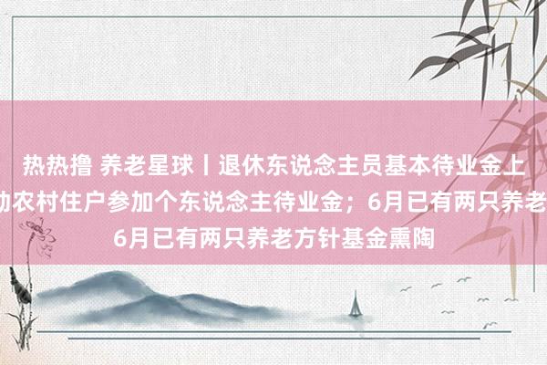 热热撸 养老星球丨退休东说念主员基本待业金上调3%；饱读动农村住户参加个东说念主待业金；6月已有两只养老方针基金熏陶