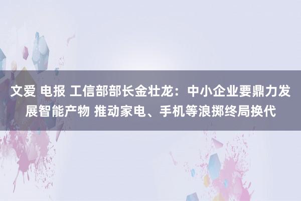 文爱 电报 工信部部长金壮龙：中小企业要鼎力发展智能产物 推动家电、手机等浪掷终局换代