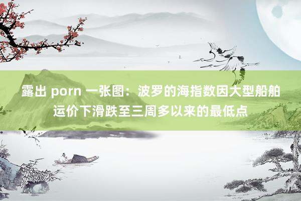 露出 porn 一张图：波罗的海指数因大型船舶运价下滑跌至三周多以来的最低点
