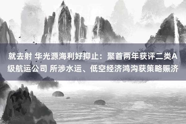 就去射 华光源海利好抑止：聚首两年获评二类A级航运公司 所涉水运、低空经济鸿沟获策略赈济