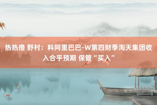 热热撸 野村：料阿里巴巴-W第四财季淘天集团收入合乎预期 保管“买入”
